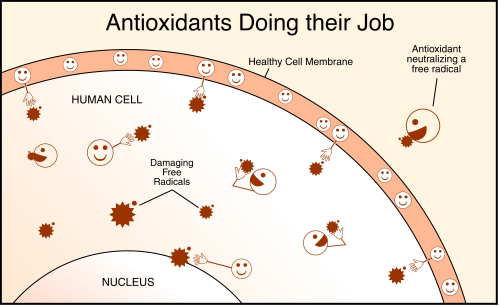 antioxidants